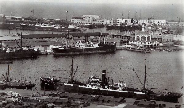 Sardinero - Colección de C. Kleiss Sardinero - Colección de C. Kleiss